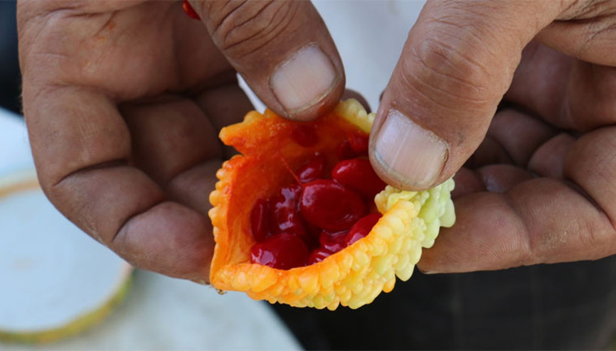 İlaç niyetine kullanılıyor... Hastalara ücretsiz dağıtıyor