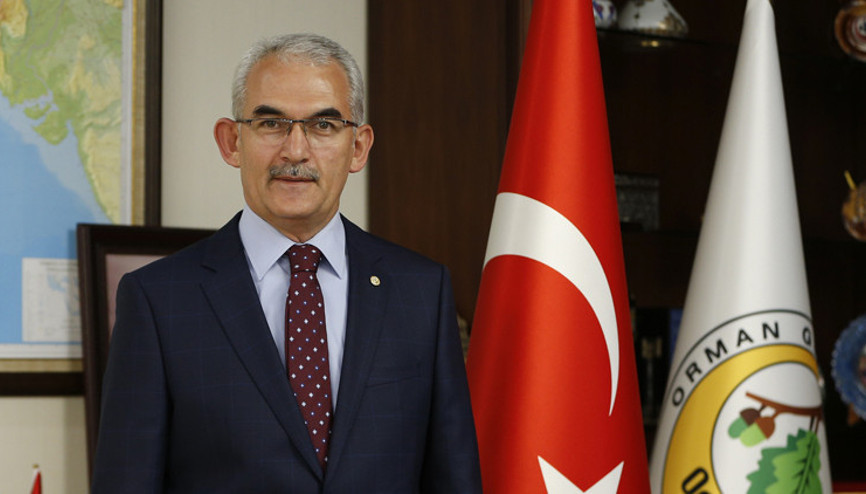 Orman Genel Müdürü: Tırtıl zararıyla ormanlar yok olmaz