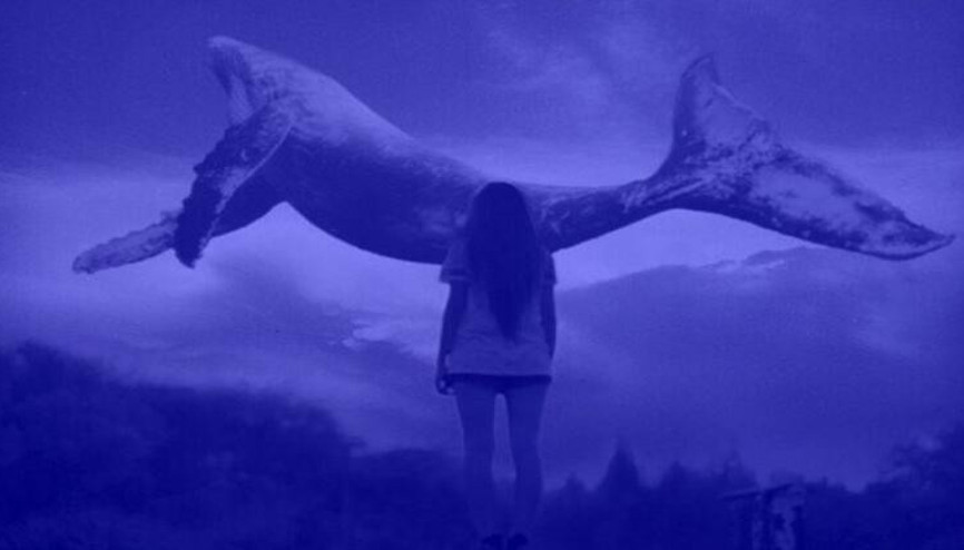 Siber Güvenlik Uzmanından Mavi Balina uyarısı