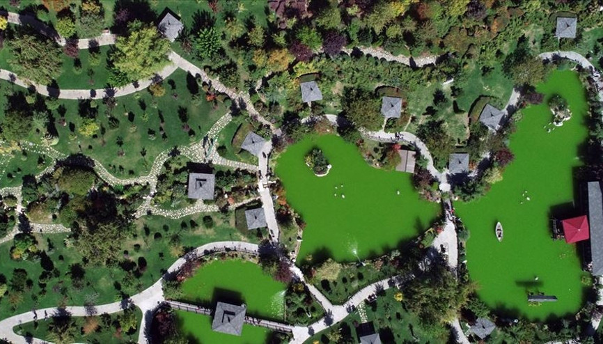 Bu park Japonyadaymış hissi uyandırıyor