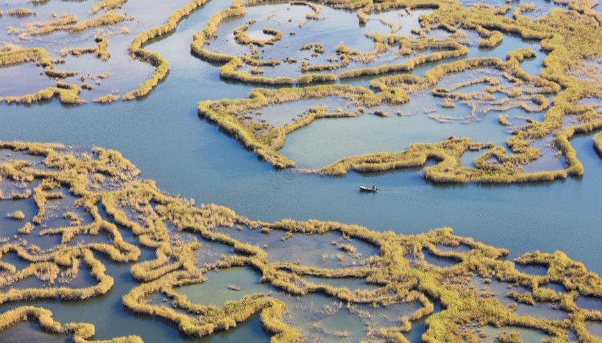 Turistlerin gözdesi: Labirent görünümlü sazlıklar
