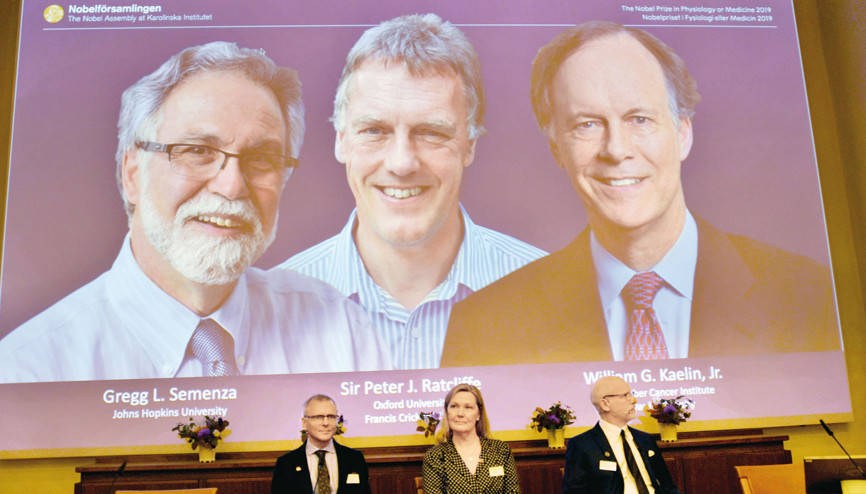 Nobel Tıp Ödülü hücrebilimcilere