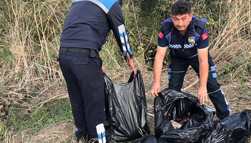 Torbalardan çıktı... Korkunç olay