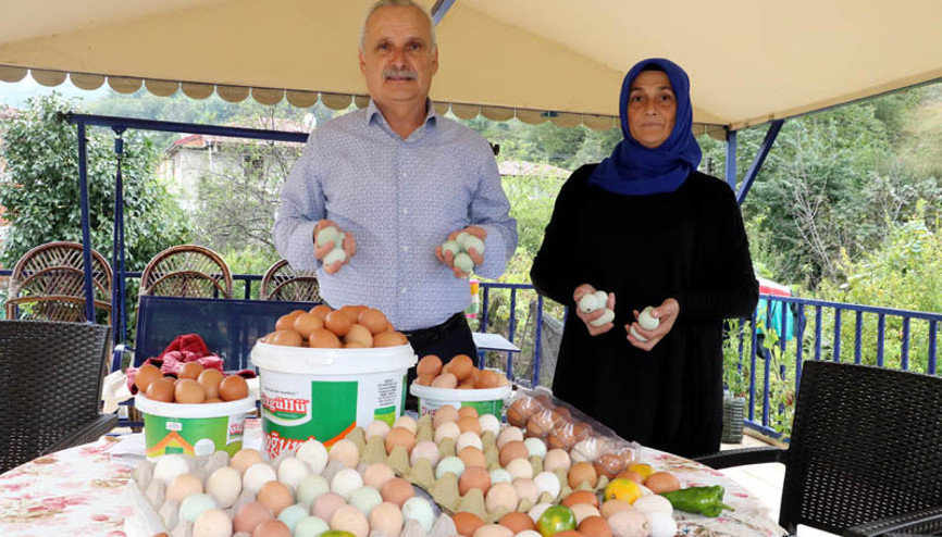 Zonguldakta emekli çift üretmeye başladı Taleplere yetişemiyorlar