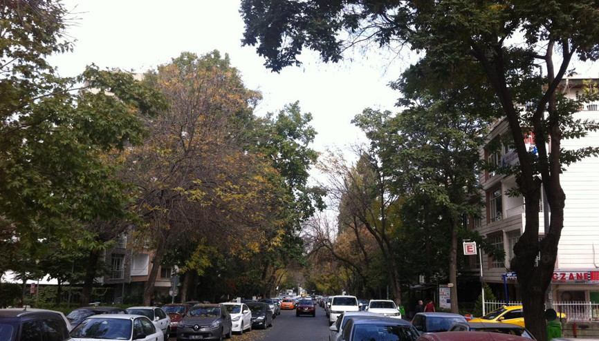 En başarılı hizmet cenaze en başarısız ise otopark