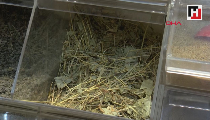 Enerji içeceği ve bitki çayı uyarısı