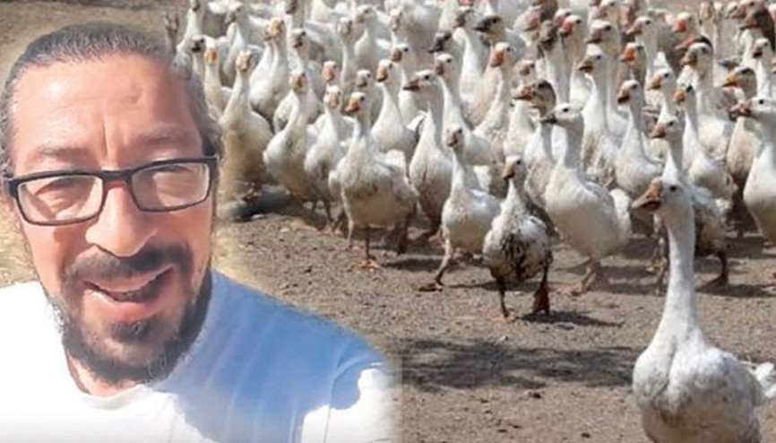 Pes dedirten olay ‘Kaz çiftliği kuracağım’ diyerek bakın ne yaptı…