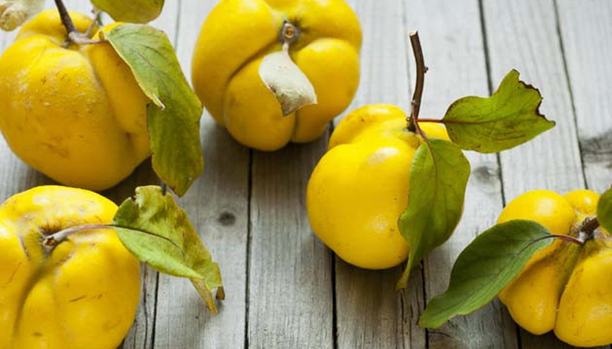 Ayvanın Faydaları Nelerdir Ayva Zayıflatır mı