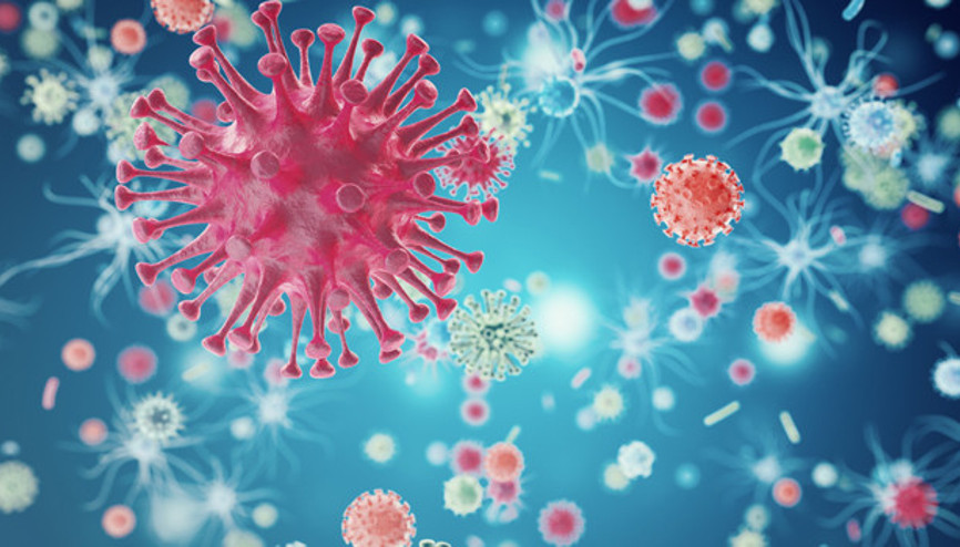 Antibiyotik Direnci Nedir Antibiyotik Direnci Nedir