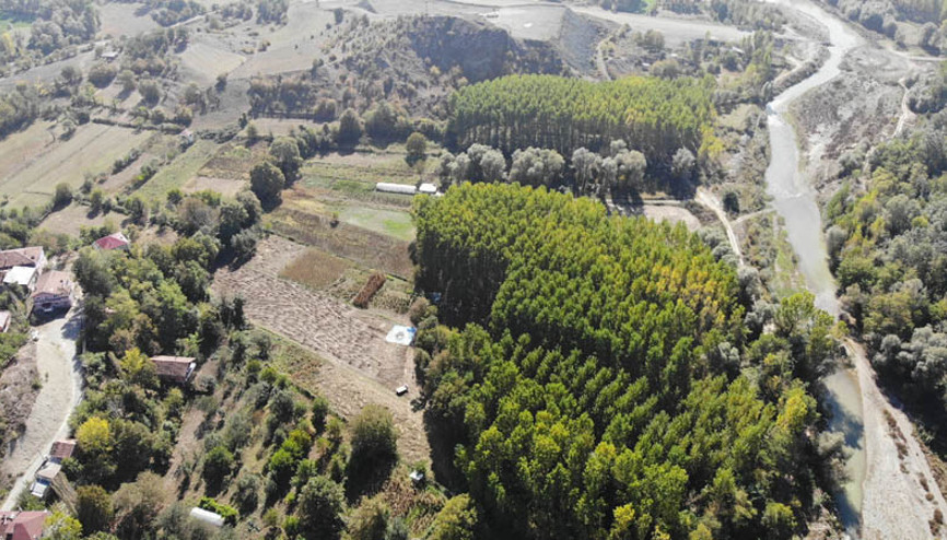 Burada yapıyor Tüm dünyaya satıyor