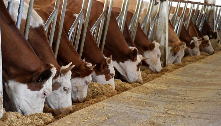 TKDK, modern tarım ve hayvancılığa öncülük ediyor