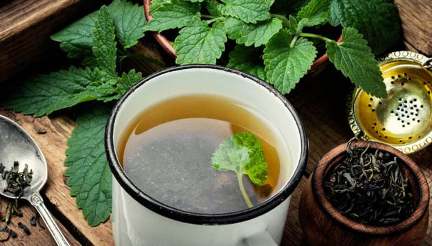 Bağışıklığı Güçlendiren 6 Doğal Bitki Çayı