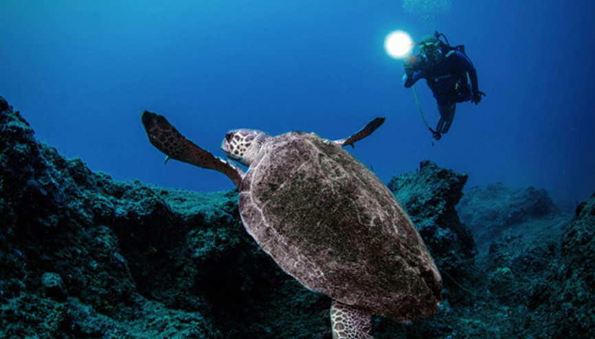 Keşif meraklılarının Akdenizdeki evi Olympos Keşif meraklılarının Akdenizdeki evi Olympos