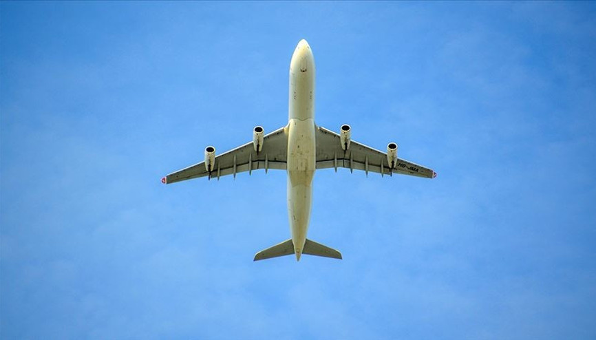 Dev hava yolu şirketi satılıyor