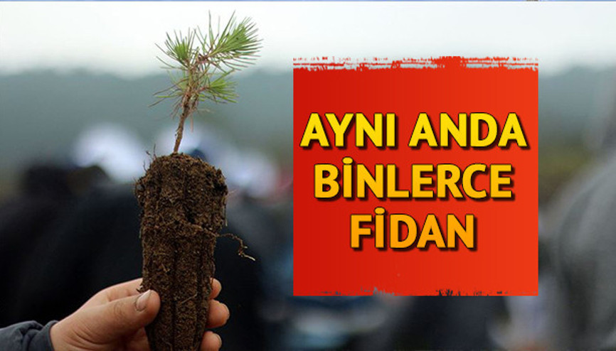 Geleceğe Nefes Fidan dikim alanları nerede Fidan dikimi ne zaman yapılacak