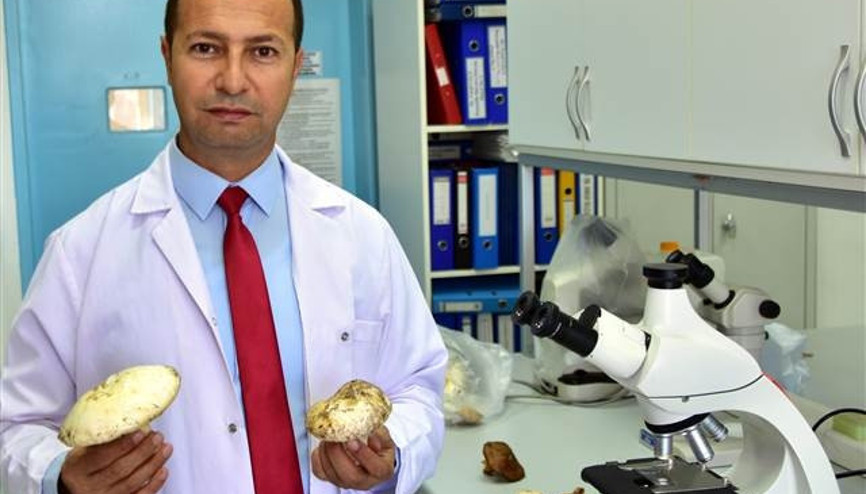 Yer Muğla... Dünyanın en zehirli mantarını yemişler