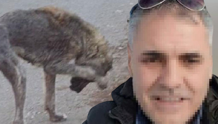 Sokak hayvanlarını öldüreceğini söyleyen belediye çalışanı gözaltına alındı