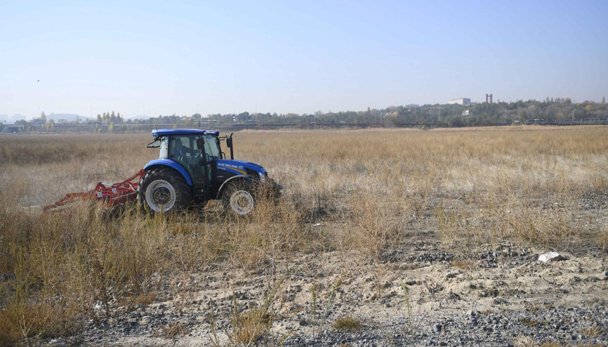 AOÇ arazisinde çiftçiler için tohum üretileceK