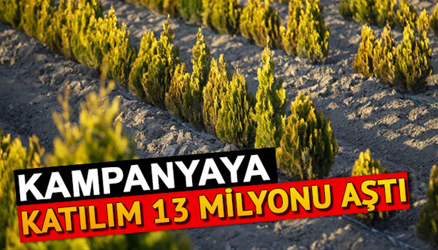 Geleceğe Nefes katılım oranı nedir Fidan kampanyası hakkında tüm detaylar