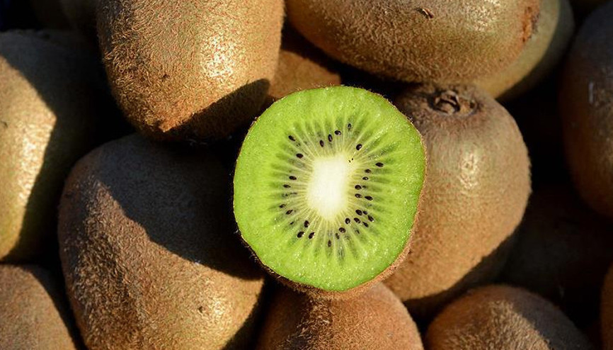 Türkiye Yalova kivisine doyacak