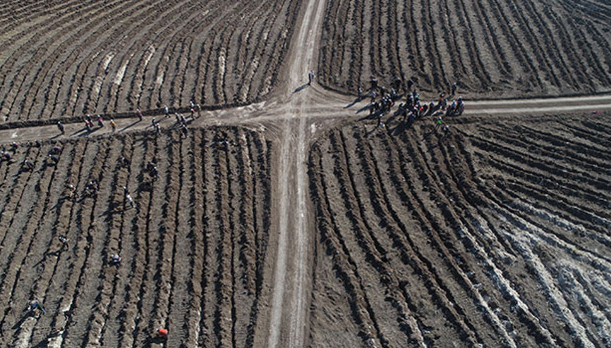 Çorumda 1 saatte en fazla fidan dikimi rekor denemesi tamamlandı