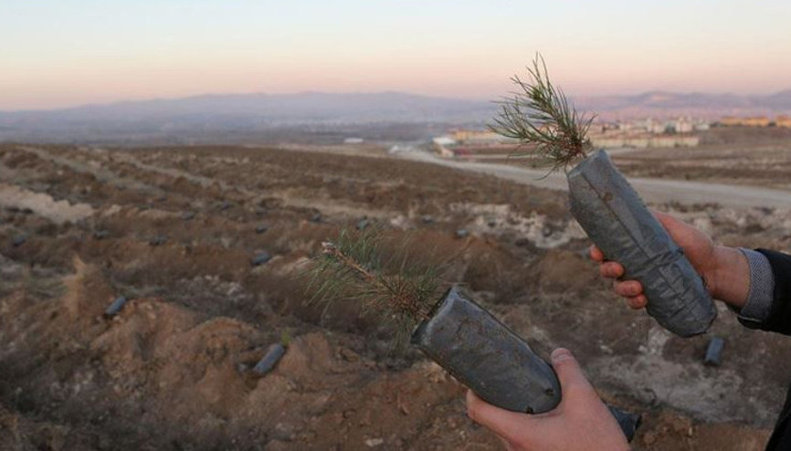 Türkiye ağaç dikmede Guinness rekorunu kırdı