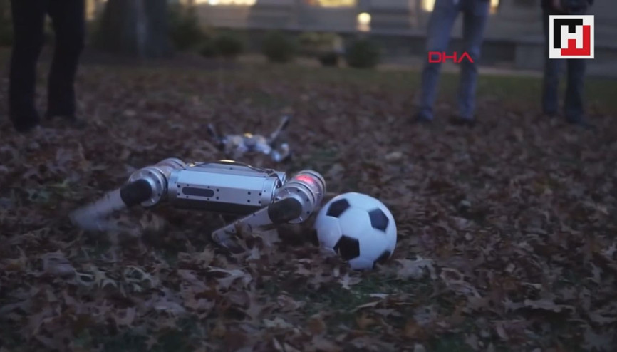ABDde robotlar futbol oynadı