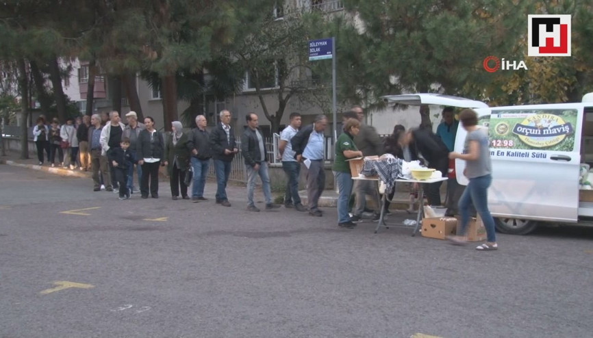 ‘Jersey’ ırkı 10 inekle üretime başladı, 5 yılda taleplere yetişemez hale geldi
