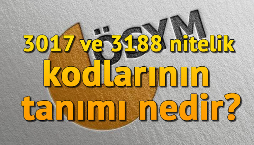 Nitelik kodu nedir 3017 ve 3188 nitelik kodlarının tanımı nedir
