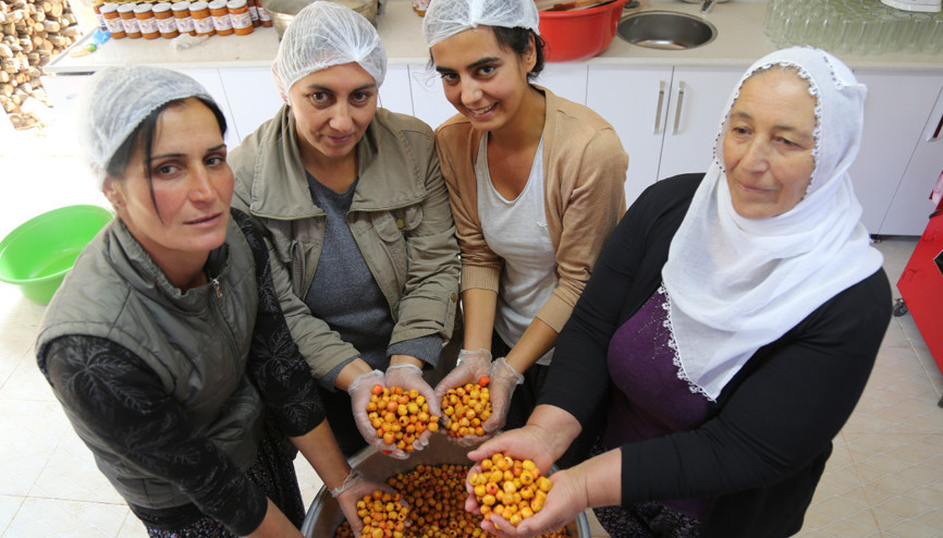 Köyde imalathane kurup, doğal meyvelerle üretime yapıyorlar
