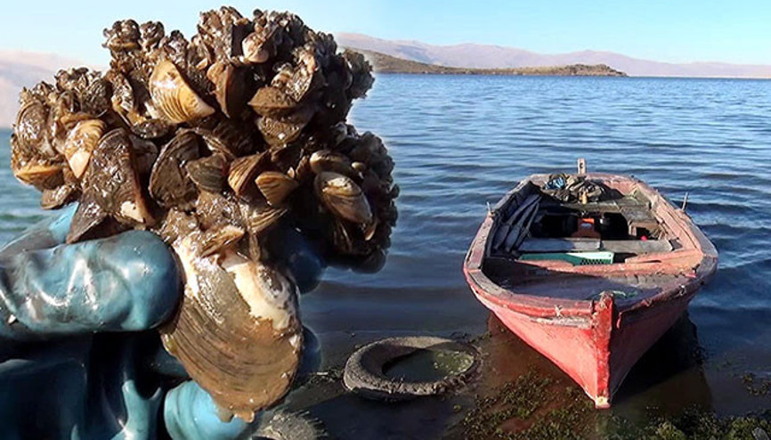 Kışın turist akınına uğrayan yerde ortaya çıktı Görenleri şaşkına çevirdi...