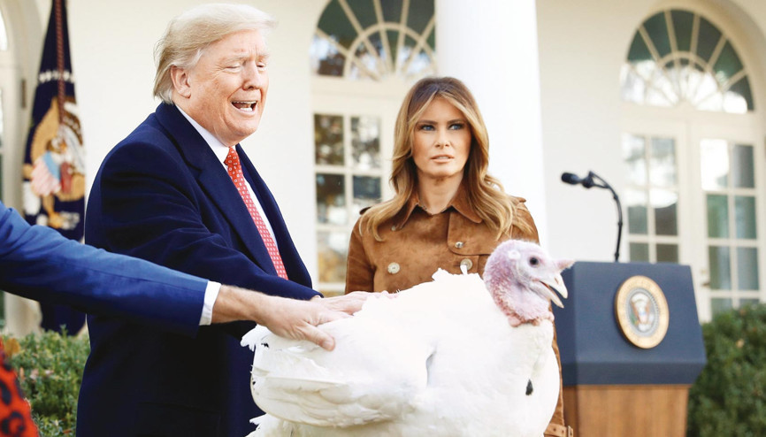 Arkasında hindi lobisi var