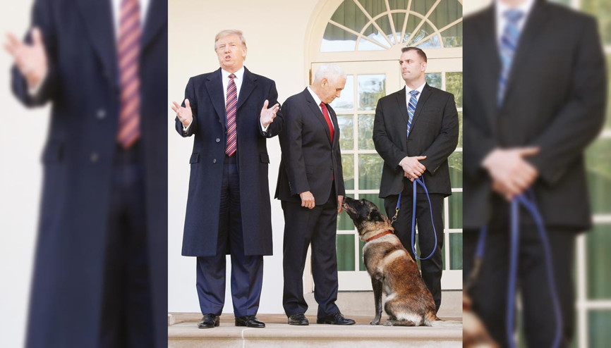 Bağdadi baskınına katılmıştı, o köpeğe madalya