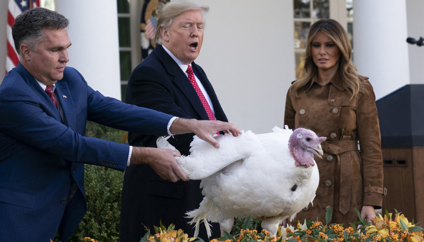 ABD Başkanı Trump, Şükran Günü için iki hindiyi affetti