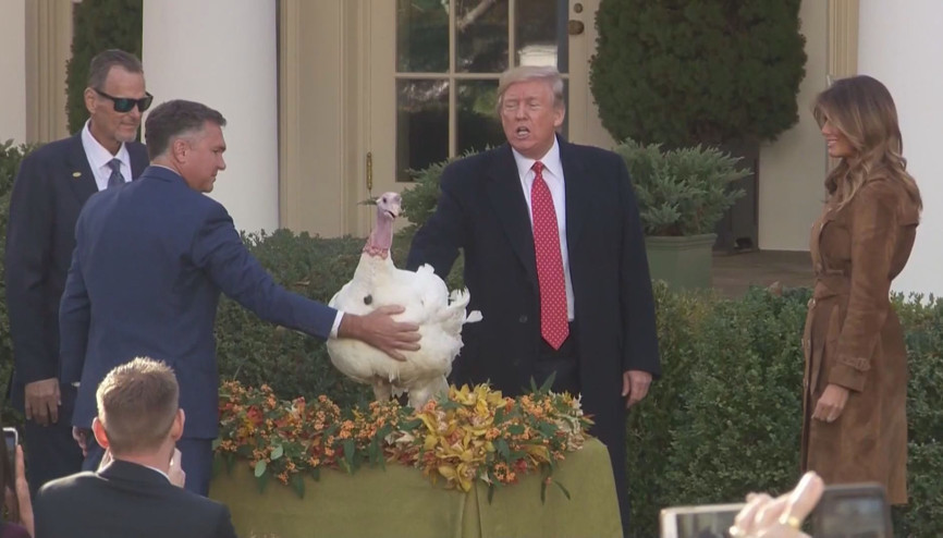 ABD Başkanı Trump, Şükran Günü için iki hindiyi affetti