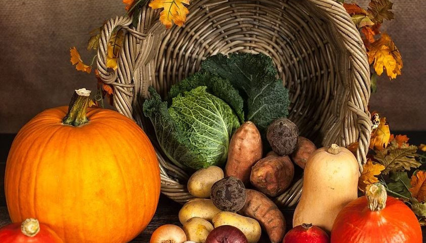 Thanksgiving (Şükran Günü) nedir Şükran Günü gelenekleri Thanksgiving (Şükran Günü) nedir Şükran Günü gelenekleri