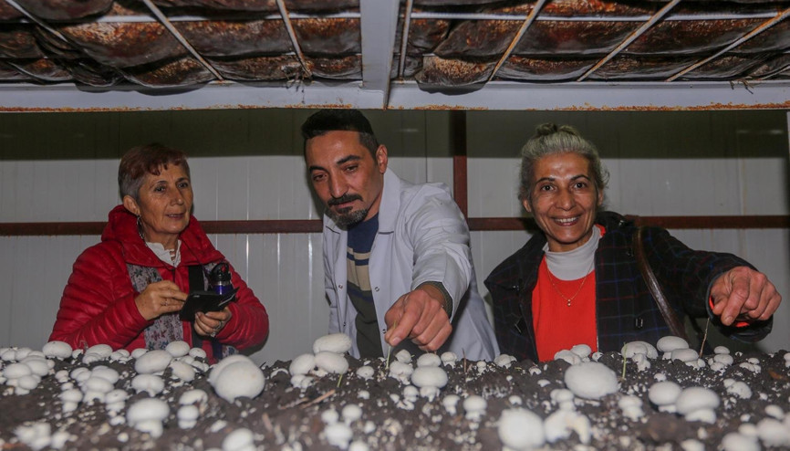 Mantar tesisinde uygulamalı eğitim