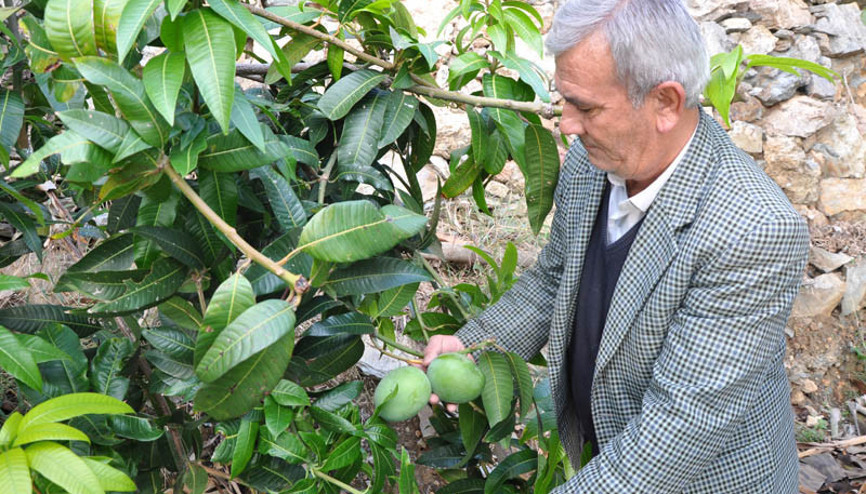 Deneme amaçlı yaptı 45 bin lira kazandı Deneme amaçlı yaptı 45 bin lira kazandı