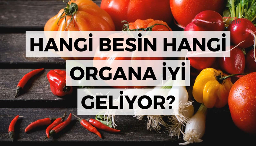Hangi besin hangi organa iyi geliyor