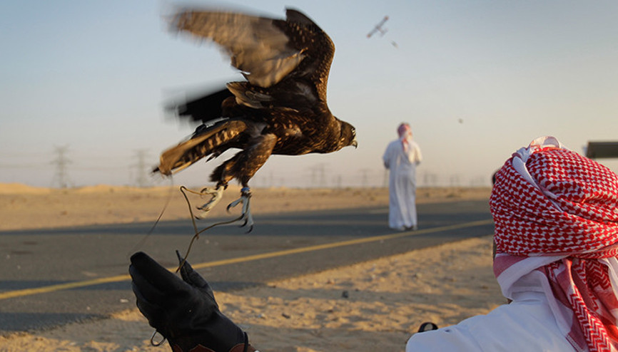 Pakistanda kaçak avlanan Katar kraliyet ailesi üyeleri tutuklandı