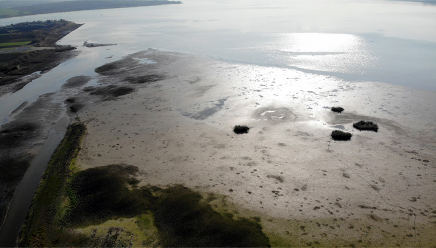 İstanbulda alarm Son 10 yılda böylesi ilk kez oldu…