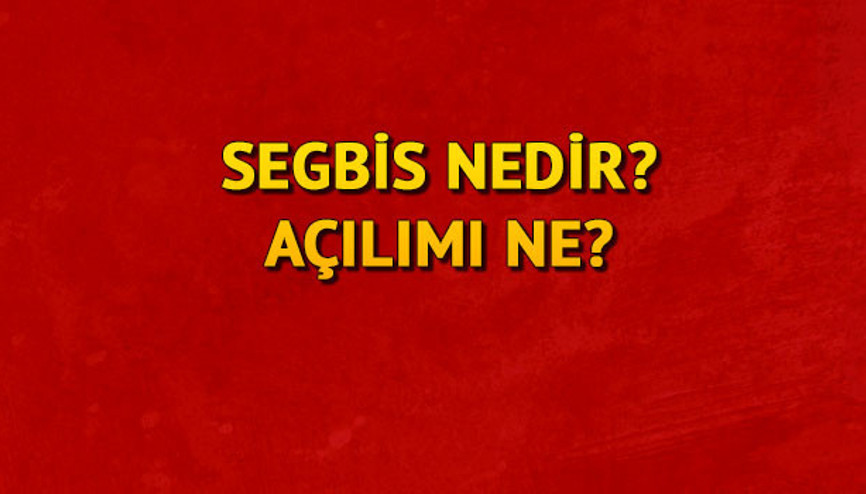 SEGBİS ne demek SEGBİSin açılımı nedir