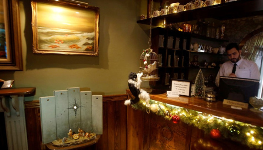 Banksynin yeni maketi Beltüllahimde