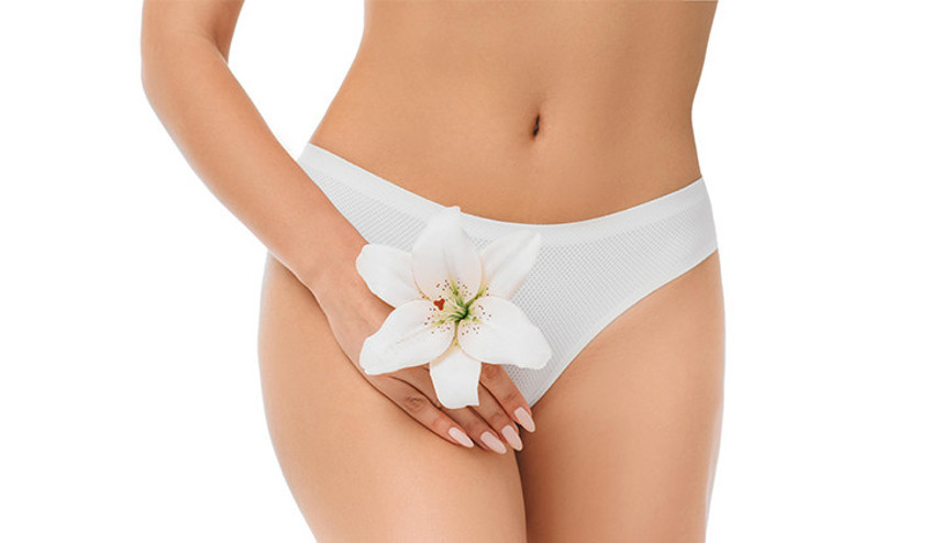 Klitoris Nedir Klitoris Nerededir