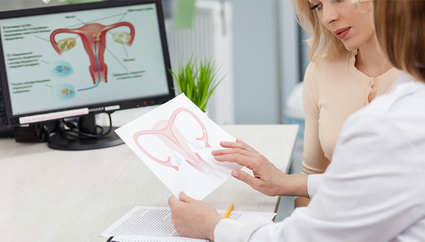 Kadın Cinselliğinin Kilit Noktası: Klitoris Hakkında Merak Edilenler