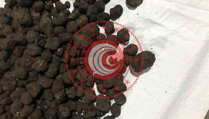Trüf mantarına yine alıcı çıkmadı