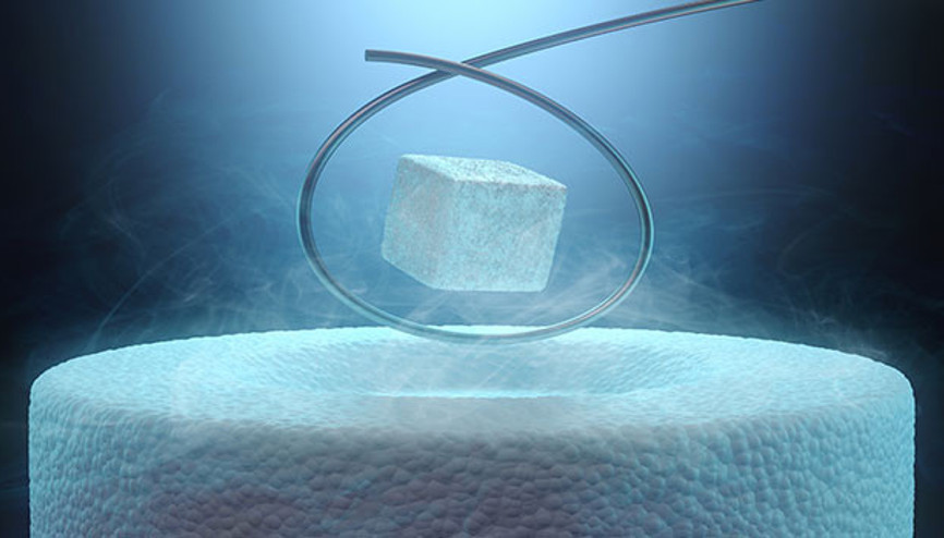 2019un fark yaratan 10 bilimsel buluşu 2019un fark yaratan 10 bilimsel buluşu