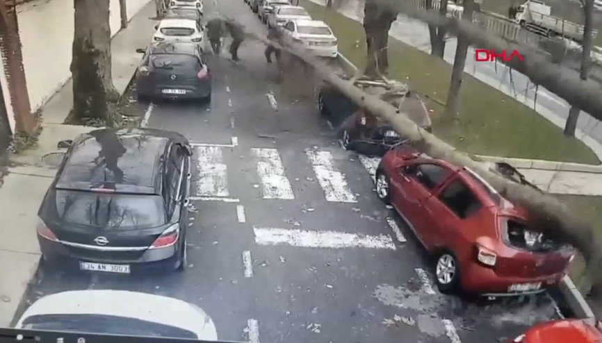 Çınar ağacı 4 aracın üzerine devrildi