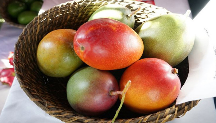 Mangoya talep artıyor