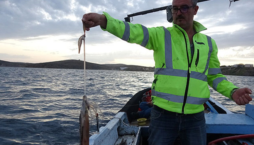 Bozcaada kalamarı gelir kapısı oldu Bozcaada kalamarı gelir kapısı oldu